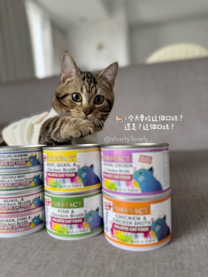 女人知己試用大隊,口碑行銷,部落客行銷,PURRFACT 波菲特貓用主食罐,主食罐,PURRFACT波菲特,貓主食罐,貓罐,PURRFACT波菲特貓用主食罐,魚肉蔓越莓主食罐,鮮嫩雞主食罐,鹿肉雞肉主食罐,牛肉鵪鶉貓主食罐,干貝蠶蛹配方,鱷魚肉白木耳配方,雞肉魚肉配方,安心鶉配方,評價,體驗,適口性佳,心得,成貓適用,高齡貓適用,質地是慕絲狀